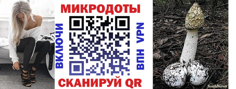 Галлюциногенные грибы GOLDEN TEACHER  KRAKEN сайт  Чайковский 